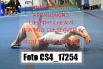 CS4_17254-