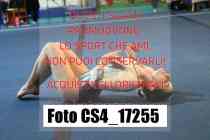 CS4_17255-