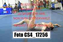 CS4_17256-
