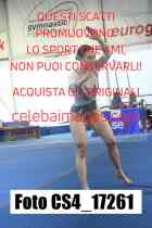 CS4_17261-