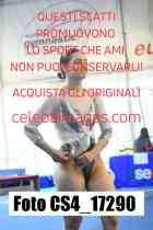 CS4_17290-
