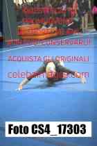 CS4_17303-