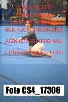 CS4_17306-