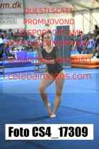 CS4_17309-
