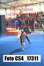 CS4_17311-