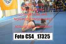 CS4_17325-