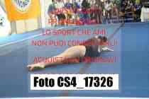 CS4_17326-