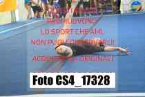 CS4_17328-