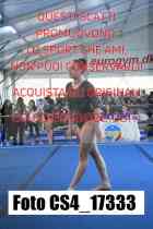 CS4_17333-
