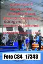 CS4_17343-