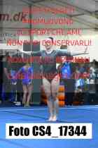 CS4_17344-