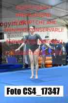 CS4_17347-