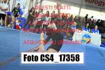CS4_17358-