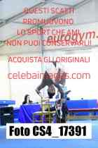 CS4_17391-