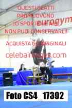 CS4_17392-