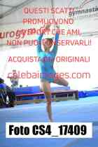 CS4_17409-
