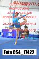 CS4_17422-