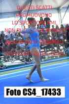 CS4_17433-