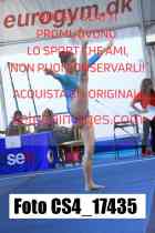 CS4_17435-