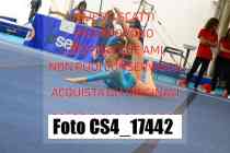CS4_17442-