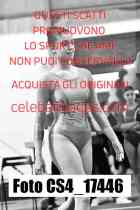 CS4_17446-