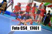 CS4_17461-