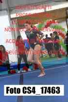 CS4_17463-