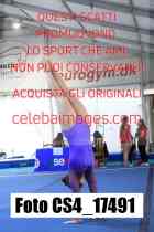 CS4_17491-