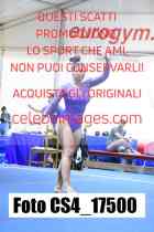CS4_17500-