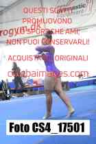 CS4_17501-