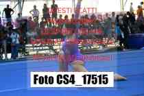 CS4_17515-