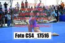 CS4_17516-