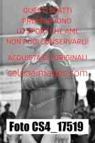 CS4_17519-