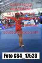 CS4_17523-