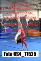 CS4_17525-