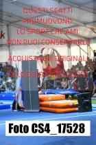 CS4_17528-