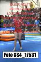 CS4_17531-