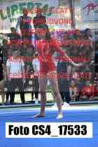 CS4_17533-
