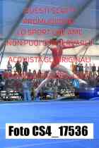 CS4_17536-