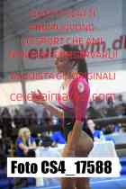 CS4_17588-