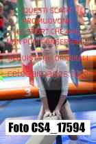 CS4_17594-
