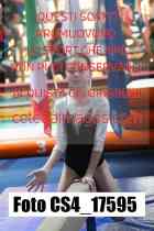 CS4_17595-