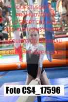 CS4_17596-