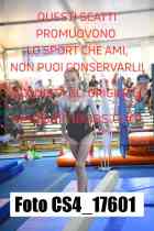 CS4_17601-