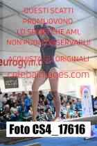 CS4_17616-