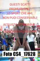 CS4_17628-