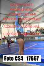 CS4_17667-
