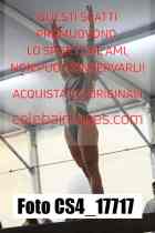 CS4_17717-