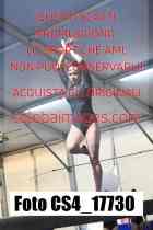 CS4_17730-