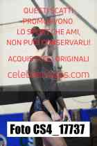 CS4_17737-